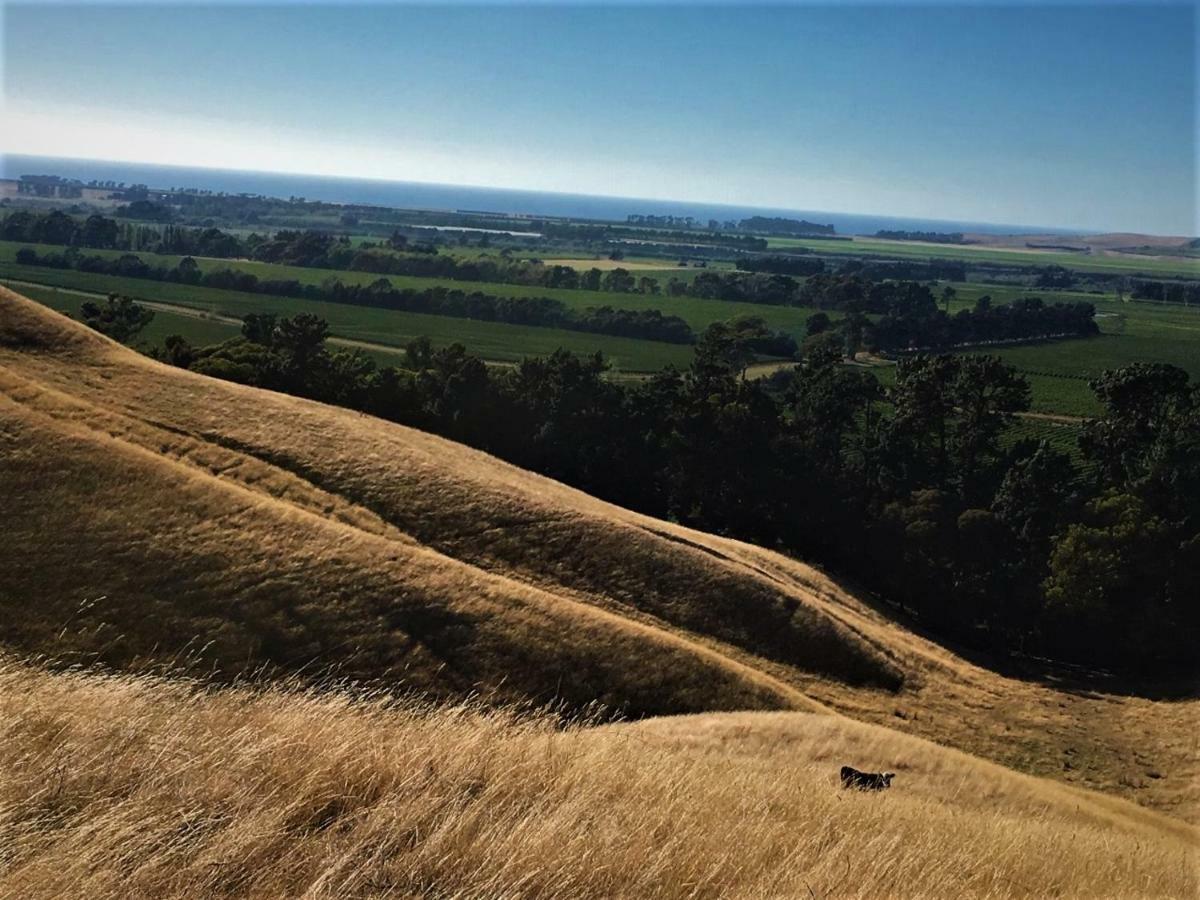 Hill Top Retreat Lower Dashwood Luaran gambar